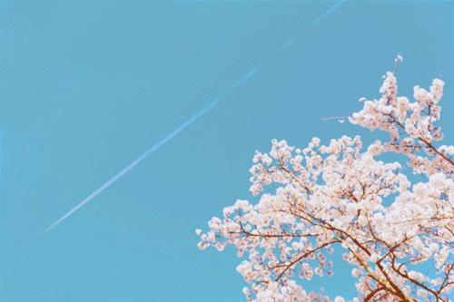 12.可以说，我从这个世界上获得了生命的意义。我在生活中的意义来自帮助他人找到生活中的意义。我感到痴迷于下辈子会使今生不足并不能完全参与其中！资料来源：直视烈日：克服对死亡的恐惧