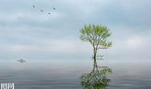 关于亲情相互付出的句子