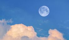 坏坏撩人的情话 撩妹子套路情话