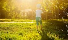 也许有一天会后悔的句子