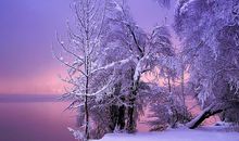 描写小雪的短句