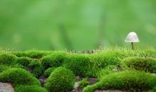 亲情心寒的句子说说心情