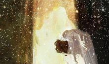 彼岸花心痛到哭的句子