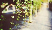 亲情励志句子说说心情