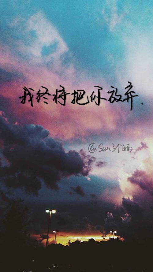 关于网络的句子