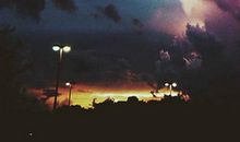 关于网络的句子