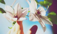 祝福亲情的唯美句子说说心情短语