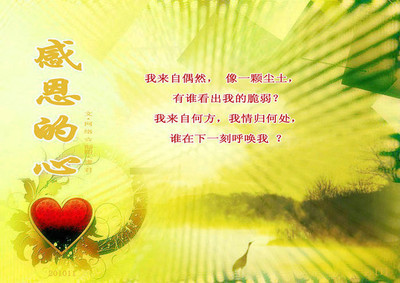 懂得放弃