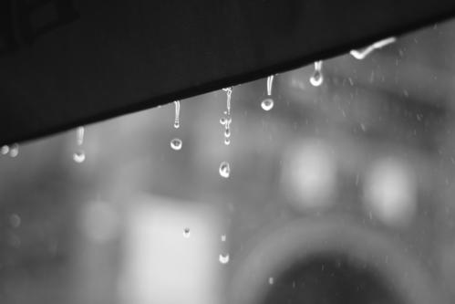 12.下雨是最常见的，一次持续三到两天。别担心，看起来，它看起来像牛毛，像花针，像细丝，倾斜地密集地编织，并且屋顶上有一薄层烟雾。