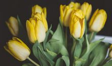 形容现在很开心的句子发朋友圈 表达开心的朋友圈说说