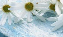 变开心的句子怎么说