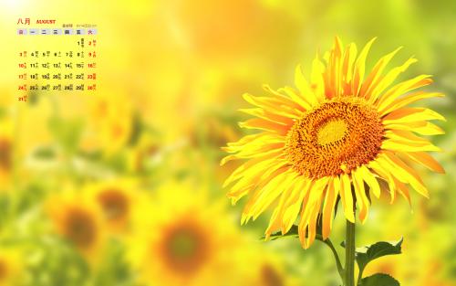 11.几个月又几天，婴儿第一次看到大海……不是很惊讶，但喜欢在水中嬉戏。我希望将来会有很多机会带你出去散步，一个三口之家虽然还不老，但可以走路，并有走路的心...