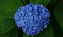 孩子们开心玩耍的句子100字