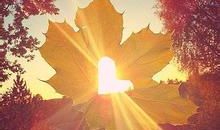 阳光的优美句子