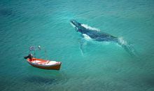 亲情微信暖心的句子