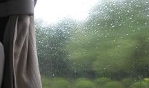 形容对这个世界很失望的句子