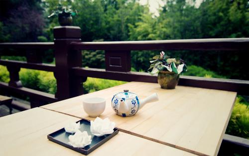 11.在我的记忆中，爸爸妈妈总是那么强壮和年轻。但是当我们停止修饰自己，对自己的脚步感到满意并回头看他们时，皱纹和时间的痕迹已经在他们的脸上蔓延了……