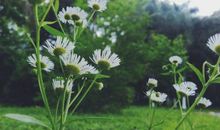 感触亲情可贵的句子