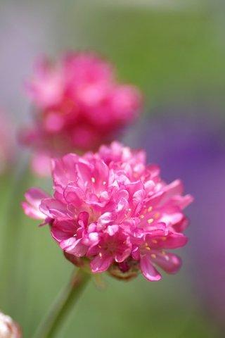 12.姐妹们有深厚的感情，真挚的爱和内心，热爱传达，短信和祝福，我希望你工作+，身体+，感情+，家庭+，生活+，父母+，幸福+，财务资源+和生活顺利。