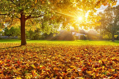 10月5日，送给您一个红色的苹果，有很多快乐和开心的事情，最快乐的劳动节，一切顺利，美好的生活，祝您玩得开心，享受美好的新生活，祝您永远健康，幸福的生活比蜂蜜甜，五个劳动节快乐。