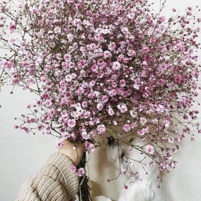 11.新鲜的空气，美丽的花朵，在森林小径上行走，地面柔软，心情愉快。