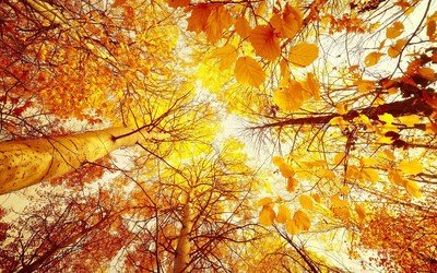 12.抛开工作上的烦恼，暂时抛开事业上的压力，快乐地散步，与快乐相处。去山区和河流带走并放松自己。祝您劳动节快乐。