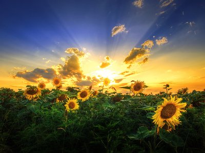 11.在炎热的夏日，微风带来我的祝福，并轻轻吹入你的心中，抚慰你烦躁的头脑。让凉爽的泉水慢慢恢复平静。让凉爽的微风陪伴您度过炎热的夏天。