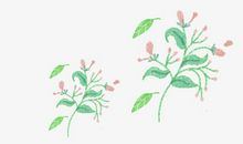 思念亲情句子说说心情短语