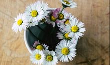 致亲情的句子英文