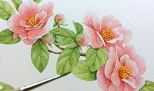 写珍惜亲情的句子