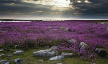 写亲情之路的句子