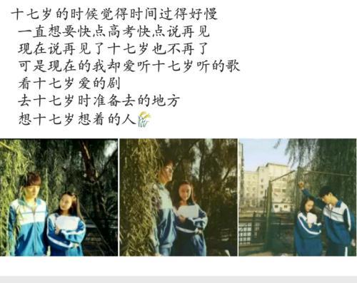 关于兄弟的句子