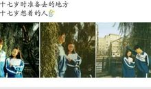 关于兄弟的句子