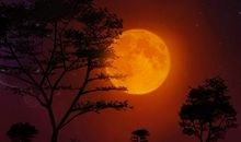 有关亲情的夏天的句子