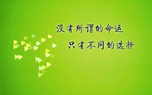 兄弟的判决