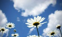 表达开开心心的句子