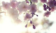 适合发照片搞怪开心的句子