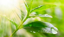 运动后开心的句子