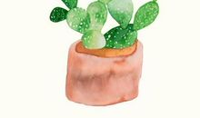 忘不了的亲情的句子