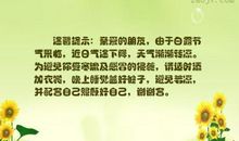 形容睡觉的句子