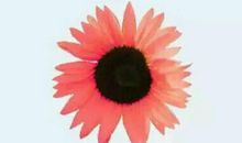 别烦恼开心就好的句子