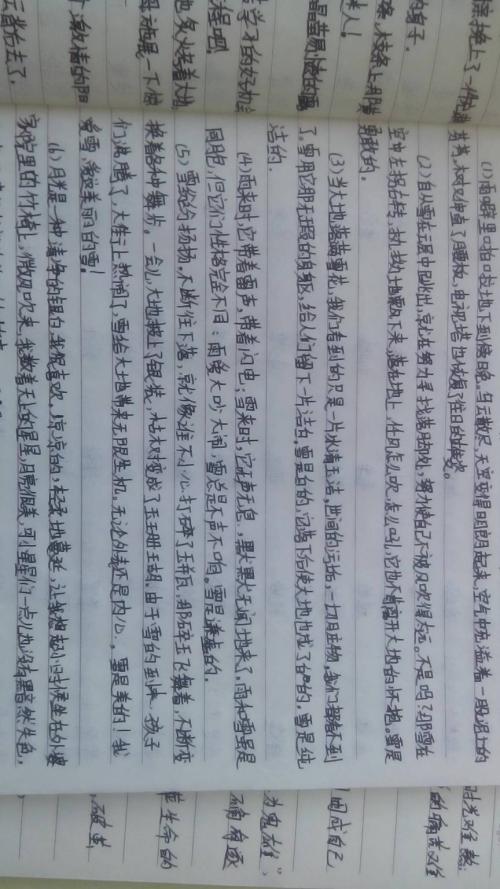 小学生优美句子的节选