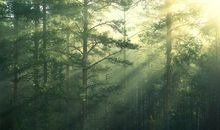 表达十几年的亲情的句子