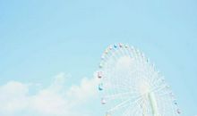 亲情的凝聚力的句子