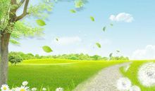 有哲理的句子关于亲情