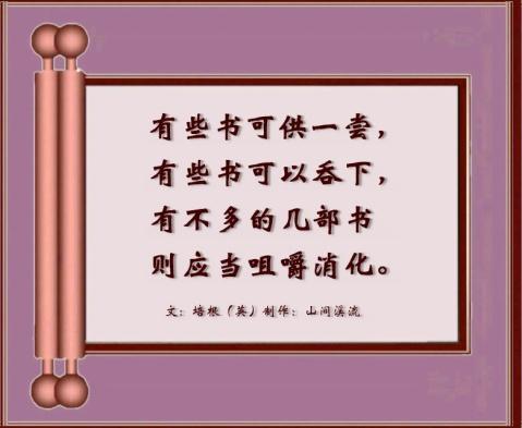 关于阅读的名言