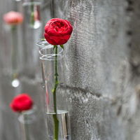 10.家庭之爱是雨后花蜜的滴落，滋养了原本贫瘠的土壤。亲情是黎明时分的乌鸦，唤醒了原本沉睡的大地。
