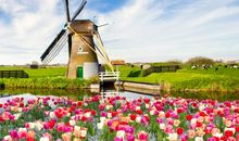 形容幼童开心的句子