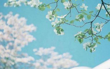 10.我从不每年每隔十五个晚上看天空中的月亮，因为我想念家乡的亲戚。