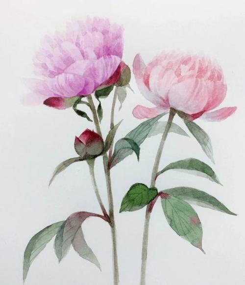 11.家庭感情是一座山，而我是山上的一棵小树。正是这座山使我免受风雨的侵袭，这座山为我提供了成长的空间，使我远离风雨，让我享受日光和明亮的月光。它给了我最好的成长环境。